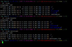 etc_vim-NerdTree-Install