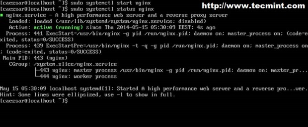 Start Nginx Web Server