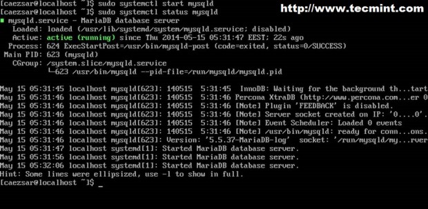 Start MySQL Database